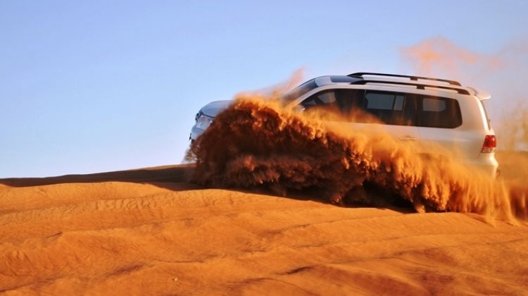 Dubai Trio ( Dubai City Tour, Desert Safari and Dhow Cruise Dinner )