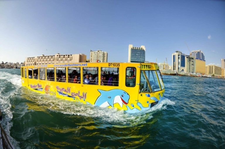 Wonder Bus Tour (2 Hours)