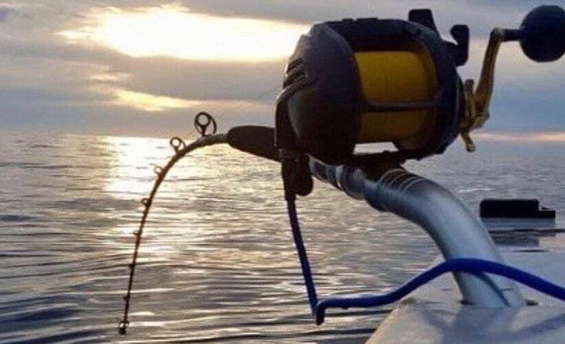 Deep Sea Fishing 4 hours Tour