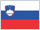 flag-slovenia flag-slovenia